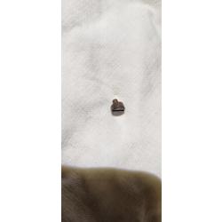 VIS DE POIGNÉE SAUER 38H (603)