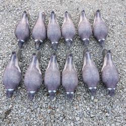 Formes pigeons