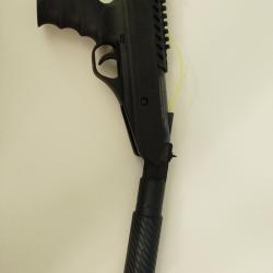 Pistolet à plombs 10 joules 5,5 millimètres