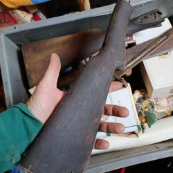 Crosse browning carabine semi auto