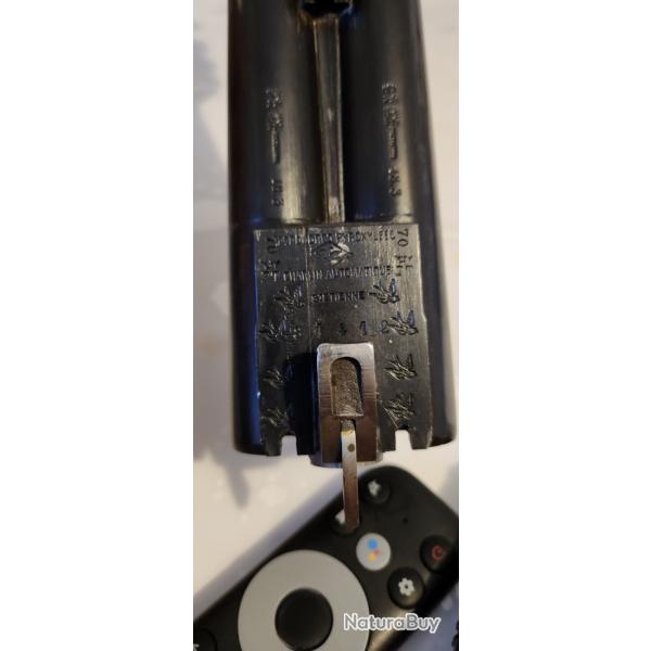 Charlain 8 irondelle