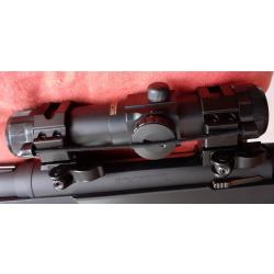 Carabine Winchester 300WM avec embase_montage amovible et point rouge