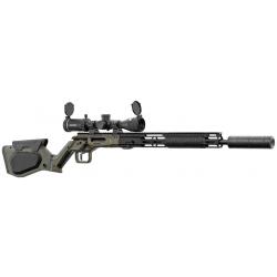 Carabine HERA ARMS H6 222 Rem OD GREEN avec lunette et silencieux