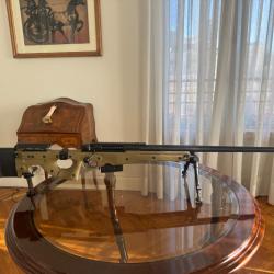 Accuracy international AW 338 lapua mag