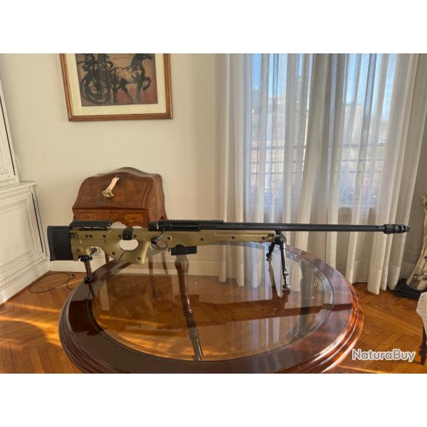 Accuracy international AW 338 lapua mag