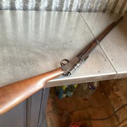 Carabine collection Buffalo