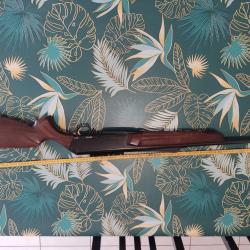 Browning 300 bar1 semi-auto