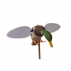 Canard colvert à ailes tournantes SILVER Mallard 25ème anniversaire - MOJO