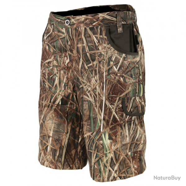 Short roseaux - TREELAND 42