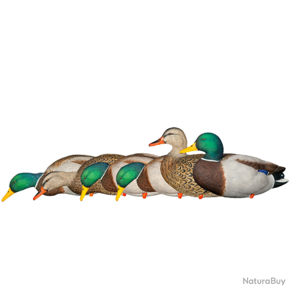 Formes de canard colvert sur pattes AXP FUSION PACK - AVIANX