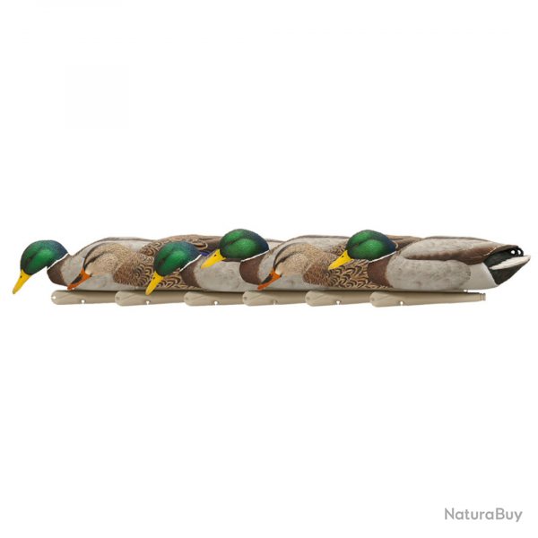 Formes de canard colvert BACK WATER - AVIANX