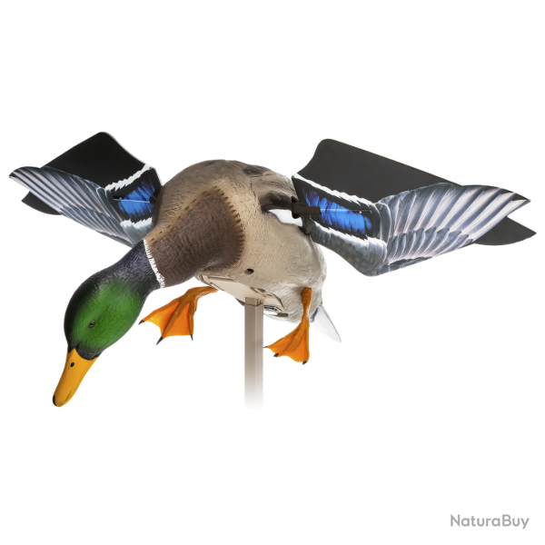 Canard colvert à ailes tournantes électriques POWERFLIGHT SMART MOTION - AVIANX