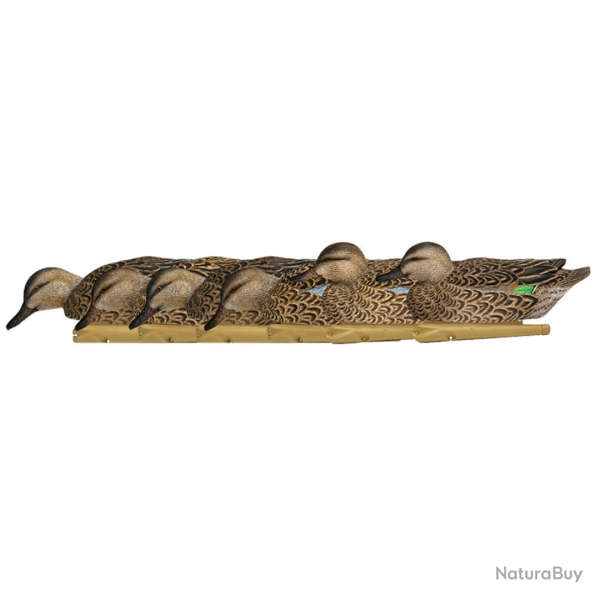 Formes de sarcelle Early Season - AvianX