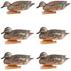 Formes de sarcelle femelles Pro Grade x6 - GHG