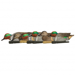 Formes de sarcelle - AvianX