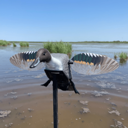 Canard pilet à ailes tournantes - ELITE SERIES MOJO®