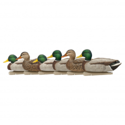 Formes de canard colvert Open Water - AVIANX