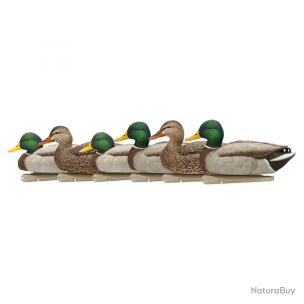 Formes de canard colvert Open Water - AVIANX