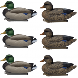 Formes de canard colvert insubmersibles x6 - PROHUNT
