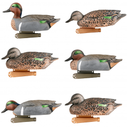 Formes de sarcelle Pro Grade x6 - GHG