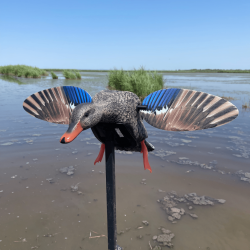 Cane colvert à ailes tournantes - MINI MALLARD ELITE SERIES MOJO®