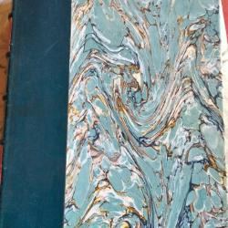 Bleu Horrizon (livre d'or des journeaux du front 1914-1918)