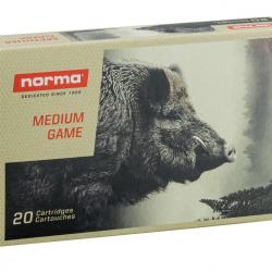 20 balles PLASTIC POINT 30-06 SPRG 180GRS NORMA