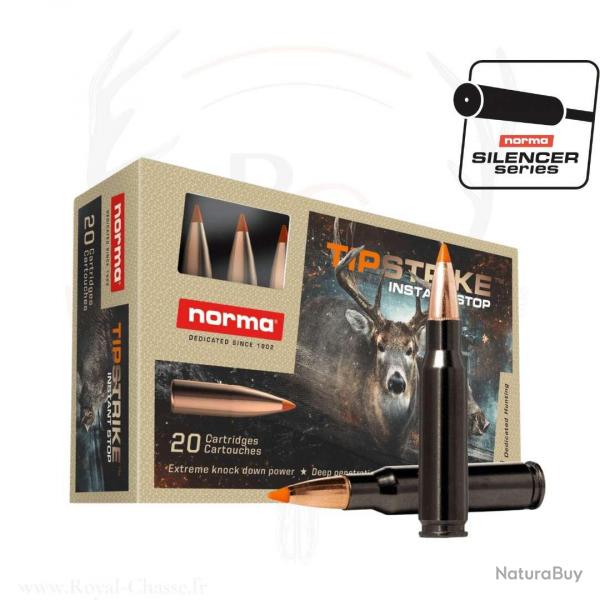 20 balles TIPSTRIKE SILENCER Cal. 30-06 SPRG 170 GRS NORMA