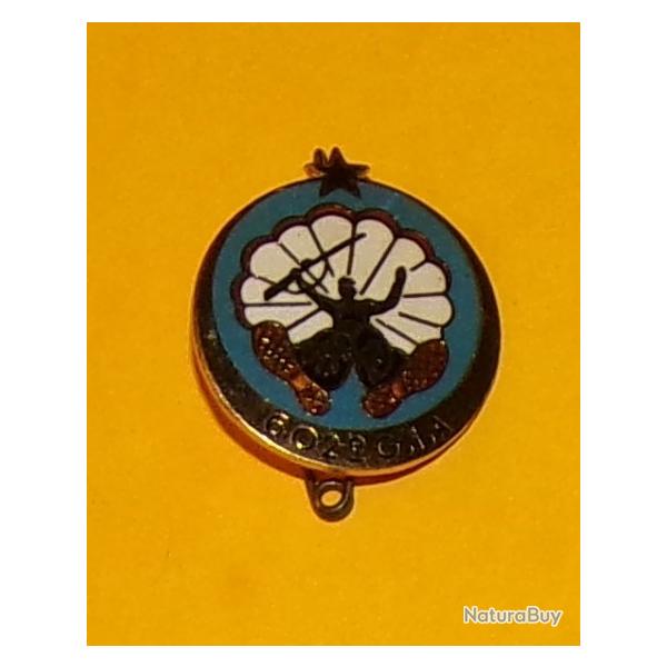 INSIGNE PARACHUTISTE : 602 Groupe d'Infanterie de l'Air, Cie Parachutiste, mail, dos grenu , cercl