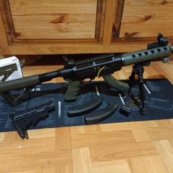 CARABINE SEMI-AUTO RUGER SR 22 RIFFLE CUSTOM OD GREEN 10 POUCES RARE AFFAIRE A SAISIR