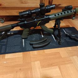 CARABINE SEMI-AUTO RUGER SR 22 RIFFLE CUSTOM OD GREEN 10 POUCES RARE AFFAIRE A SAISIR