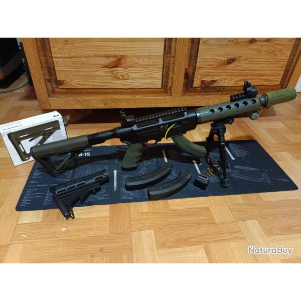 CARABINE SEMI-AUTO RUGER SR 22 RIFFLE CUSTOM OD GREEN 10 POUCES RARE AFFAIRE A SAISIR