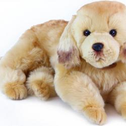 Peluche golden retriever 32 cm Eco-friendly