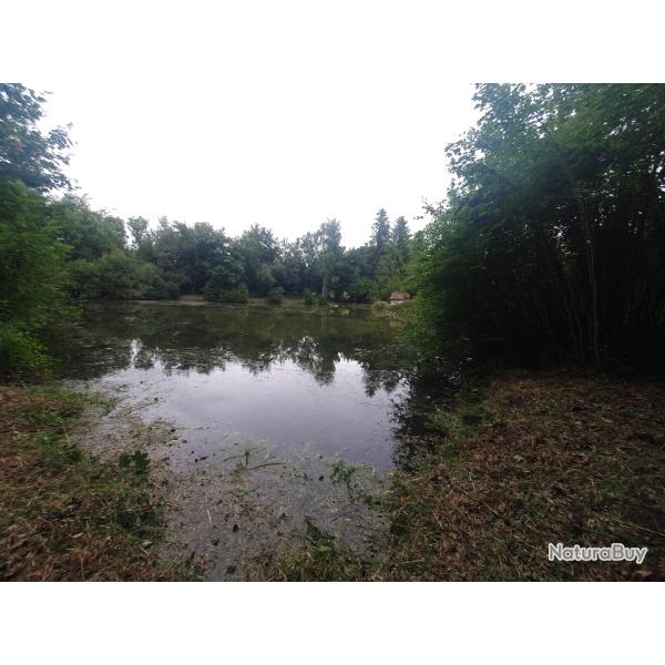Etang80