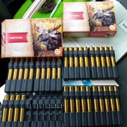 Balles Norma Vulkan 15gr en 9,3x74R