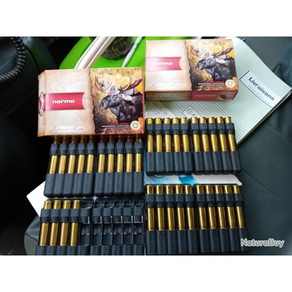 Balles Norma Vulkan 15gr en 9,3x74R