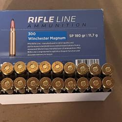 Munitions PPU Partizan SP 300 Win Mag 180gr