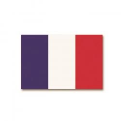 Drapeau Miltec 150 x 90 cm - France