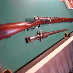 Superbe et Rare CARABINE STEYR KROPATSCHEK 1886 avec encore son garde main bois d'origine et sa baio