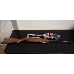 Pack carabine à plomb Remington express NP bois cal.4.5 mm. 19.90 joules