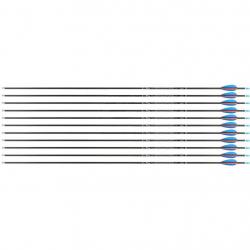 Flèche Avalon Tyro 4.2 en carbone (nouvelles) 2000 26" 1 plume rouge 2 plumes bleues