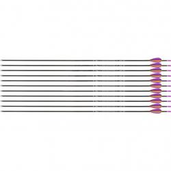 Flèche Avalon Tyro 4.2 en carbone (nouvelles) 1800 27" 1 plume orange 2 plumes violettes