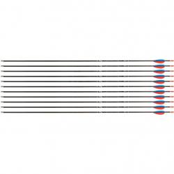Flèche Avalon Tyro 4.2 en carbone (nouvelles) 1300 28" 1 plume bleue 2 plumes rouges