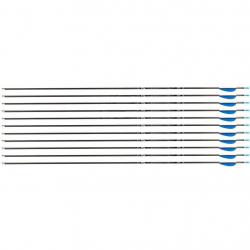 Flèche Avalon Tyro 4.2 en carbone (nouvelles) 1100 28" 1 plume blanche 2 plumes bleues