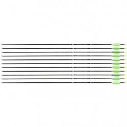 Flèche Avalon Tyro 4.2 en carbone (nouvelles) 1100 28" 1 plume blanche 2 plumes vertes