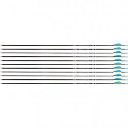 Flèche Avalon Tyro 4.2 en carbone (nouvelles) 1000 29" 1 plume jaune 2 plumes bleues