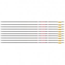 Flèche Avalon Tyro 4.2 en carbone (nouvelles) 700 30" 1 plume blanche 2 plumes or