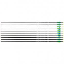 Flèche Avalon Tyro 4.2 en carbone (nouvelles) 600 31" 1 plume bleue 2 plumes vertes