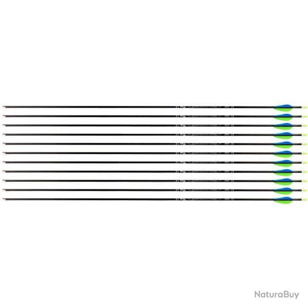 Flche Avalon Tyro 4.2 en carbone (nouvelles) 600 31" 1 plume bleue 2 plumes vertes