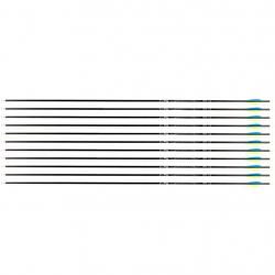 Flèche Avalon Tyro 4.2 en carbone (nouvelles) 600 31" 1 plume bleue 2 plumes jaunes